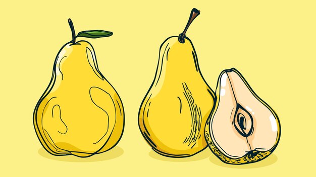 Vetor conjunto de ilustração vetorial de fruta pêra em uma linha estilo esboço desenhado à mão plano colorido