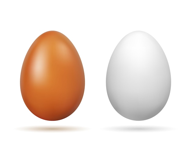 Vetor conjunto de ilustração vetorial de maquete de ovos de galinha inteira branca e marrom claro realista
