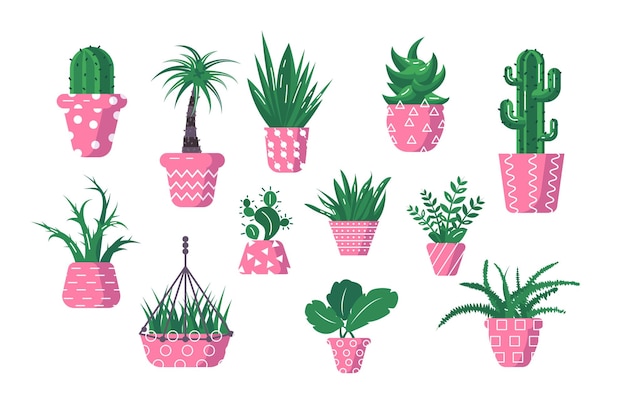 Vetor conjunto de ilustração vetorial de plantas verdes domésticas diferentes tipos de vários tipos de ervas domésticas, cacto, palmeira, samambaia, em design de estilo plano de vaso de flores isolado no branco