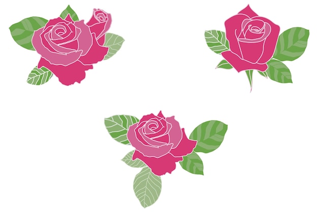 Conjunto de ilustração vetorial de rosas