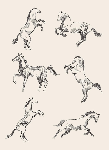 Vetor conjunto de ilustração vetorial desenhada à mão de cavalos