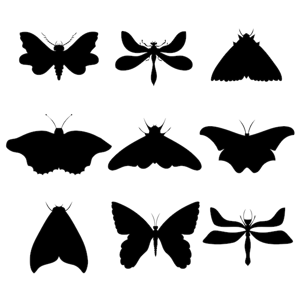 Conjunto de ilustração vetorial desenhada à mão de mariposas borboletas noturnas