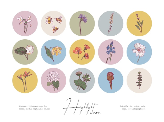 Vetor conjunto de ilustrações botânicas boêmias mínimas para capas de mídia social ou cartazes impressos