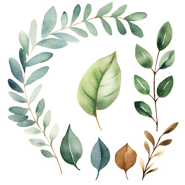 Vetor conjunto de ilustrações botânicas de folhas em aquarela