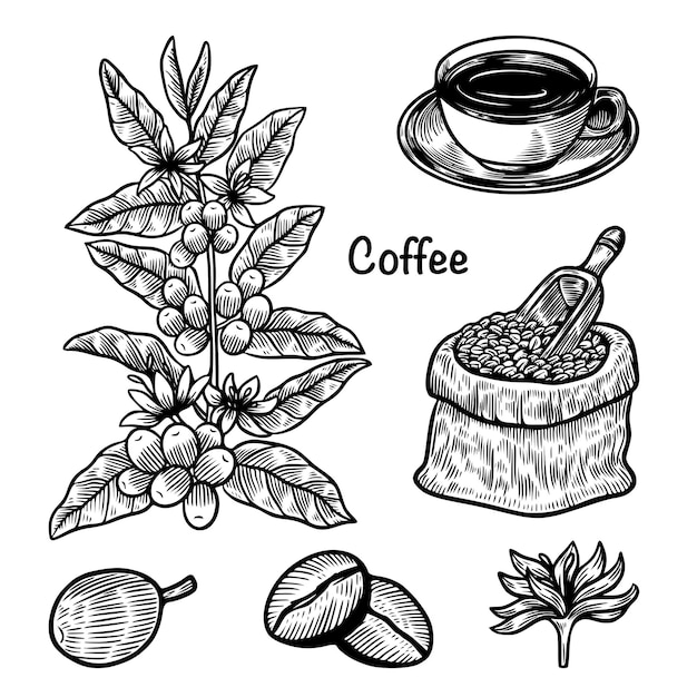 Conjunto de ilustrações de café desenhadas à mão