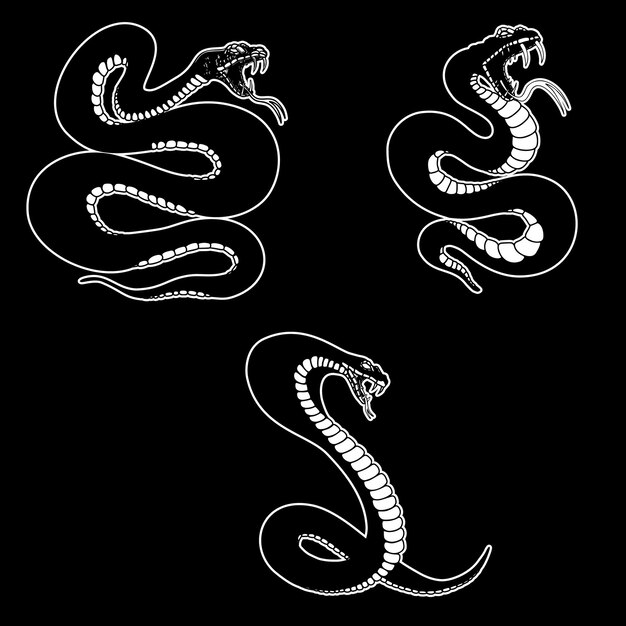 Design PNG E SVG De Desenho De Planta De Cobra De Feiticeiro Para Camisetas