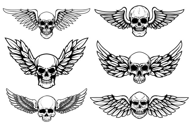 Conjunto de ilustrações de crânio alado isolado no fundo branco Elemento de design para sinal de banner de cartão cartaz ilustração vetorial