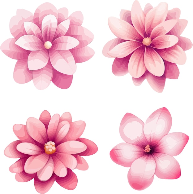 Vetor conjunto de ilustrações de flores cor-de-rosa