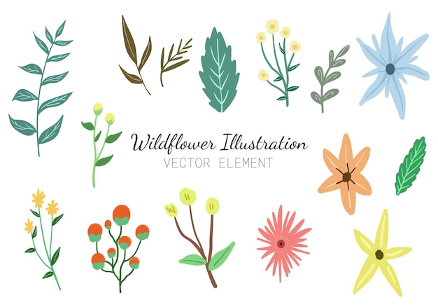 conjunto de ilustrações de flores silvestres de aquarela vetorial