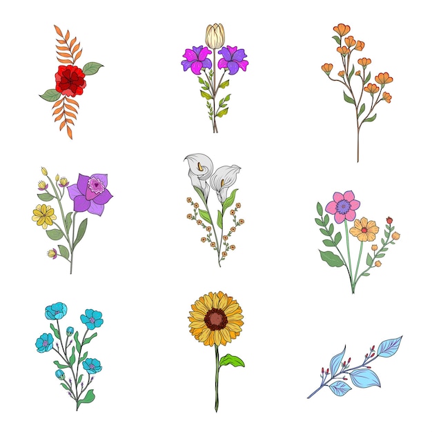 Conjunto de ilustrações de flores