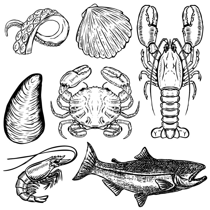 Vetor conjunto de ilustrações de frutos do mar mão desenhada. elementos para cartaz, menu. ostra, caranguejo, camarão, salmão, lagosta. ilustração