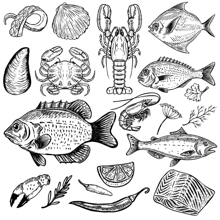 Vetor conjunto de ilustrações de frutos do mar mão desenhada sobre fundo branco. peixe, caranguejo, lagosta, ostra, camarão. especiarias. elementos para o menu, cartaz. ilustração