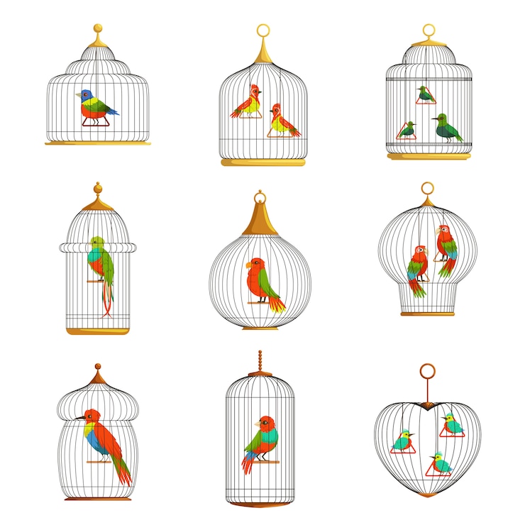 Vetor conjunto de ilustrações de pássaros coloridos em gaiolas