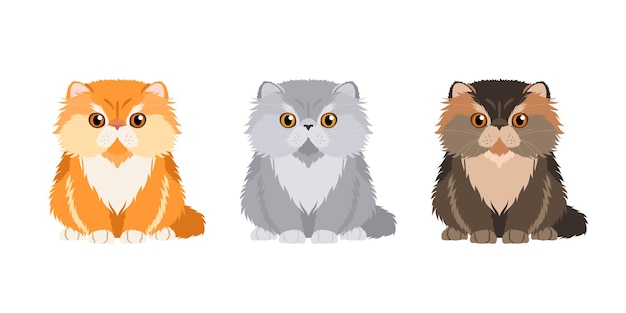 Conjunto de ilustrações de três gatos persas em cores diferentes coleção de gatos vetoriais para seu desi