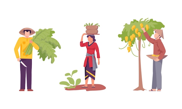 Conjunto de ilustrações de vetores de culturas agrícolas de agricultores asiáticos e asiáticas