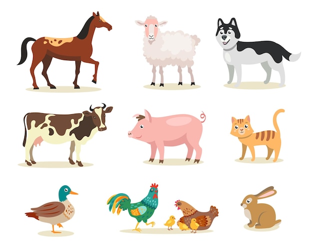 Vetor conjunto de ilustrações planas de diferentes animais de fazenda fofos. vaca, galinha, galo, galinhas, porco, gato, cachorro, ovelha, pato, cavalo, coelho isolado no branco