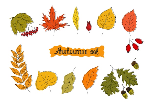 Conjunto de ilustrações vetoriais com folhas de outono.