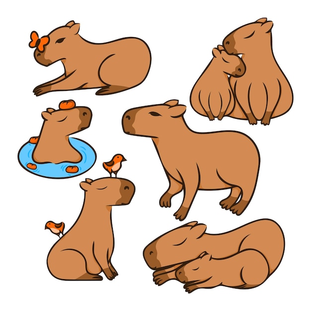 Conjunto de ilustração colorida de capivara vetorial fofa de capivara  desenho de um animal no estilo cartoon