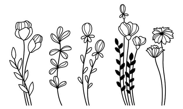 Conjunto de ilustrações vetoriais de contorno de flores silvestres Clipart de flores de campo de arte de linha desenhada à mão