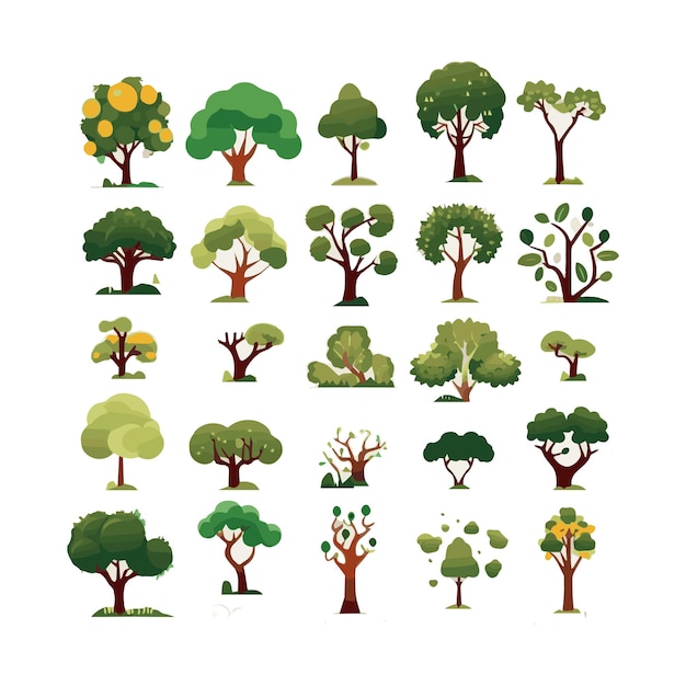 Conjunto de ilustrações vetoriais planas de árvores plantas exóticas de praia isoladas pacote de elementos de design folhas verdes galhos e troncos coleção de desenhos animados em fundo branco
