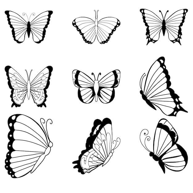 Conjunto de insetos desenhados à mão Imagem monocromática de borboletas voadoras e sentadas Elementos pretos e brancos para colorir