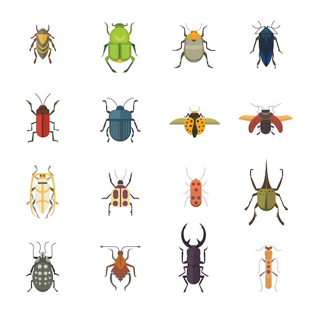 Conjunto de insetos estilo plano vector design ícones. besouro da natureza da coleção e ilustração dos desenhos animados da zoologia. conceito de vida selvagem de ícone de bug