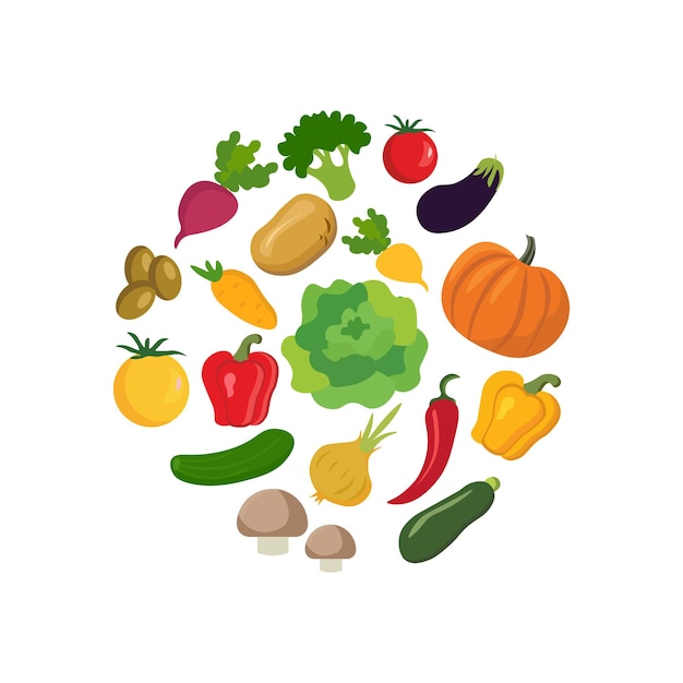 Conjunto de legumes. Ilustração vetorial