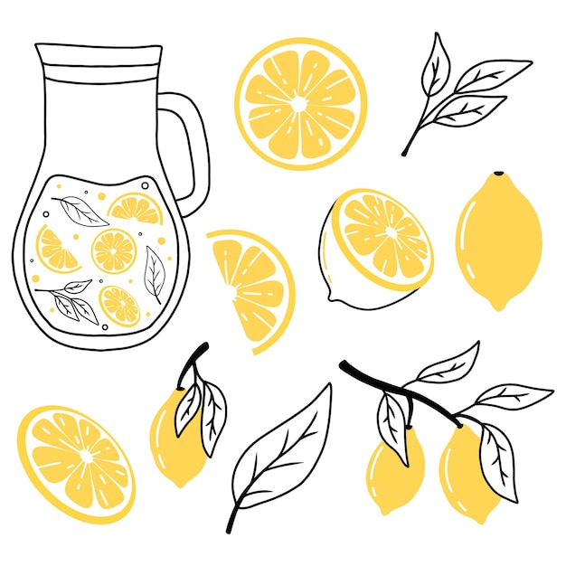 Conjunto de limões em estilo doodle coleção de limões em um galho uma fatia de limão meio limão ilustração vetorial