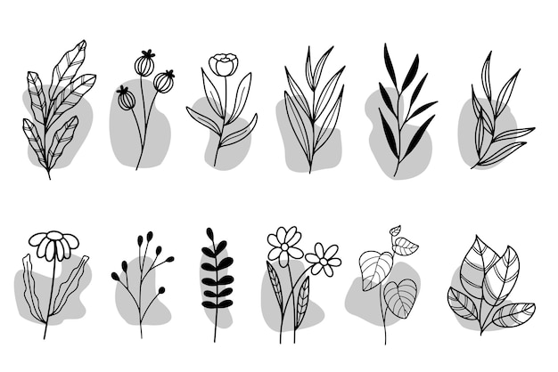 Conjunto de lineart floral e folhas isoladas clipart