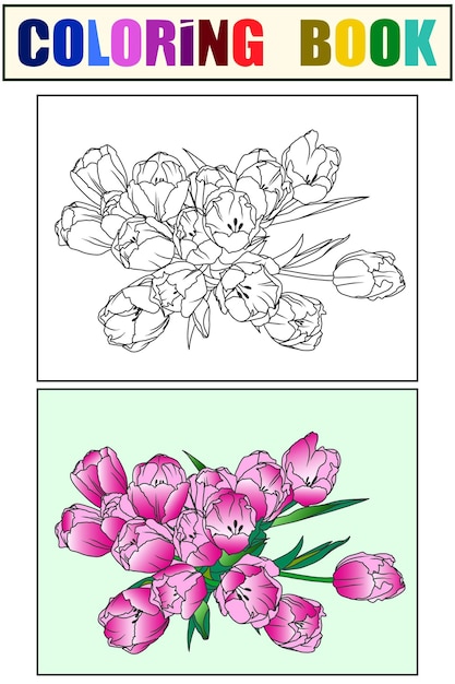 Conjunto de livro para colorir flores tulipas floresceram ilustração vetorial