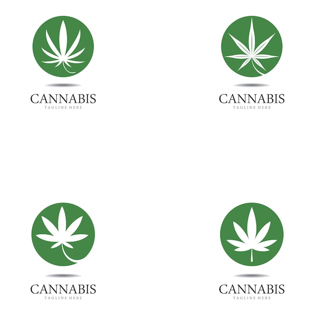 Conjunto de logotipo de folha de cânhamo de maconha cannabis