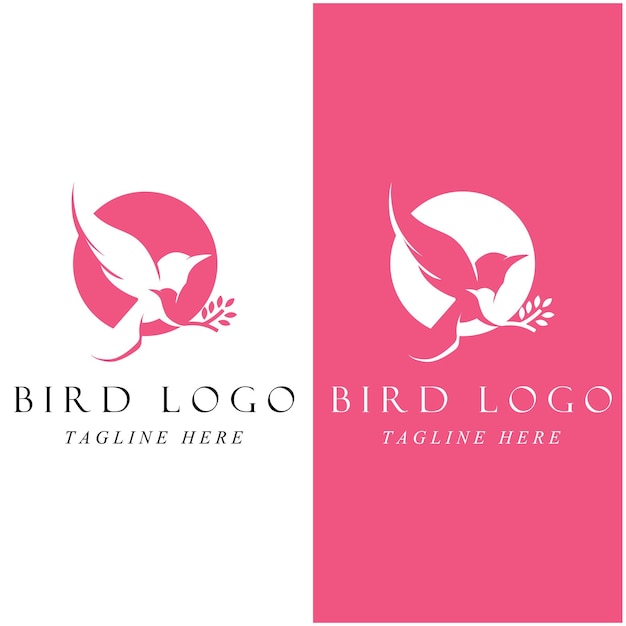 Vetor conjunto de logotipo de pássaro criativo com modelo de slogan