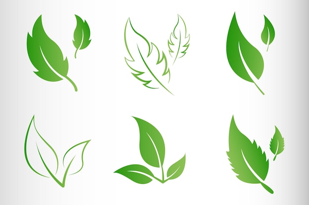 Conjunto de logotipos de folha verde