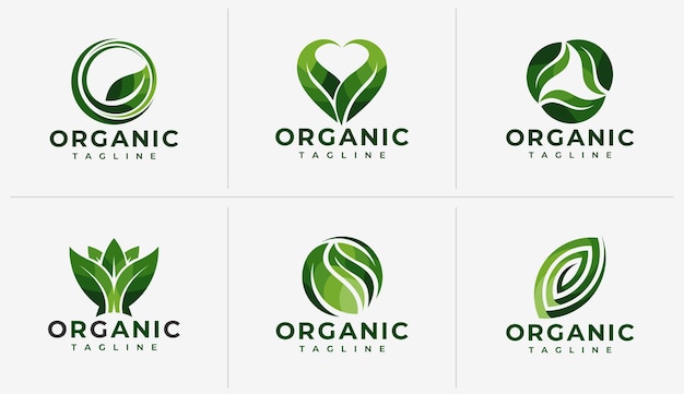 Conjunto de logotipos de folhas naturais de ervas planas coloridas
