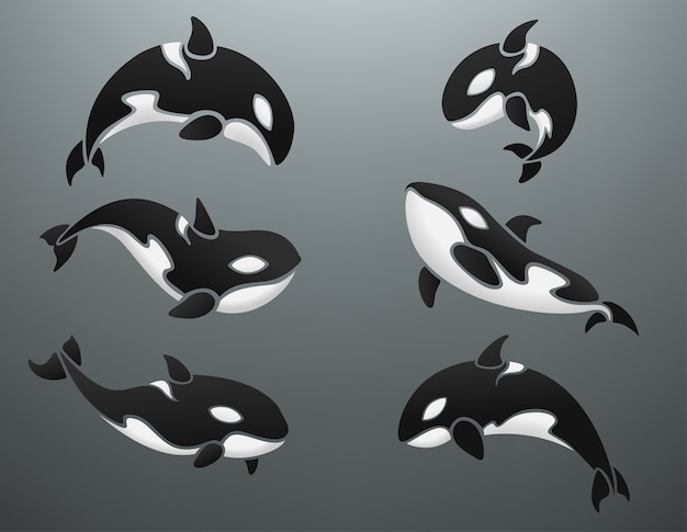 Conjunto de logotipos orca