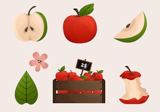 apple clip art