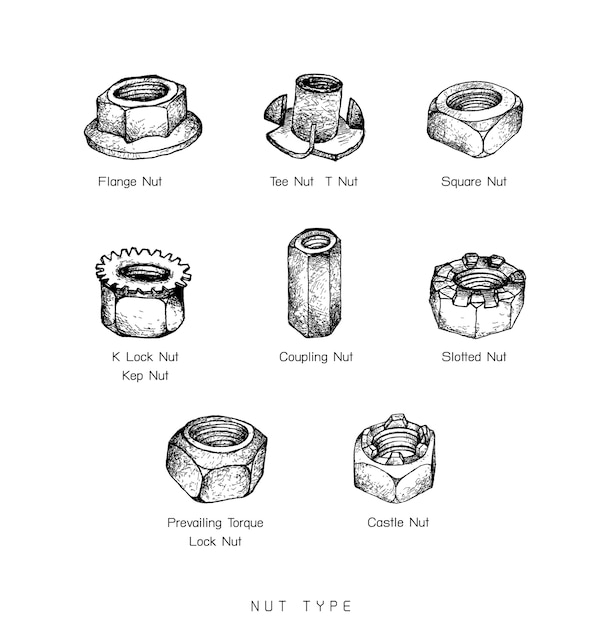 Conjunto de mão desenhada sketch de tipo nuts