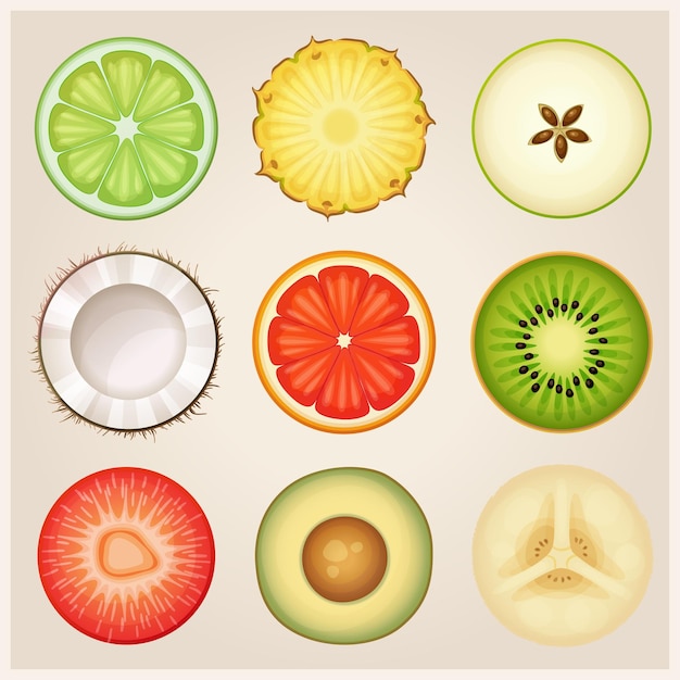 Conjunto de metades redondas de frutas ícones vetoriais ananás limão fresco maçã verde coco toranja kiwi