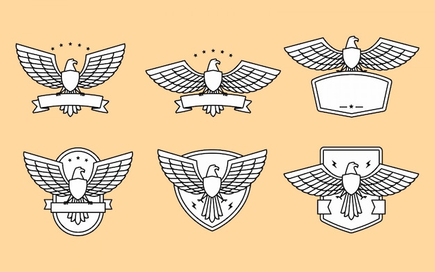 Vetor conjunto de modelo de logotipo de águia e asa