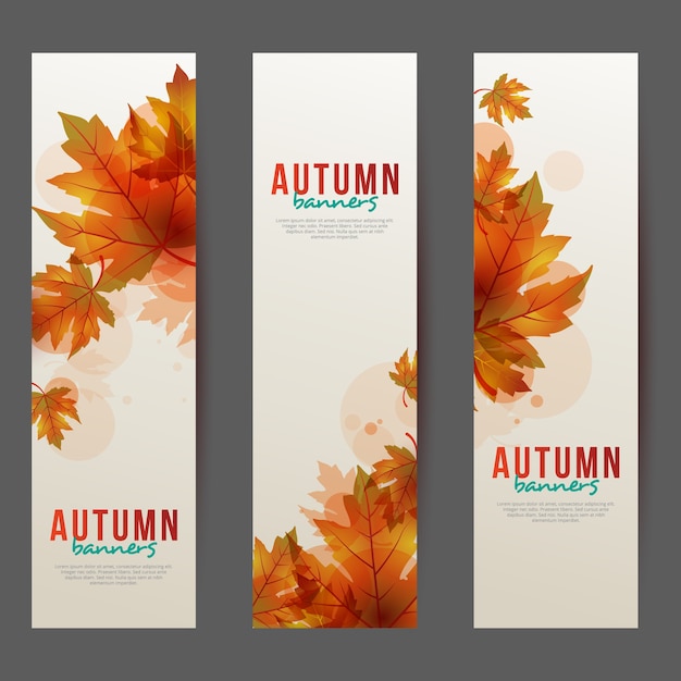 Conjunto de modelo vertical de Banner de outono / outono