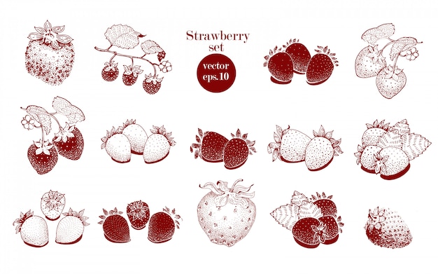 Conjunto de morango de mão desenhada de vetor. pode ser usado para o fundo, design, convite, banner, capa. ilustrações retrô mão desenhada