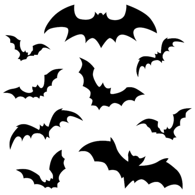 Conjunto de morcegos