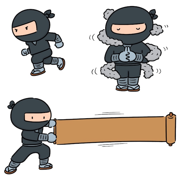 Conjunto de ninja