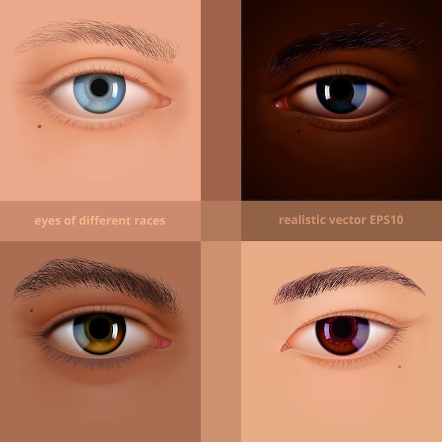 Vetor conjunto de olhos humanos realistas das diferentes raças. tipos europeus hispânicos e asiáticos