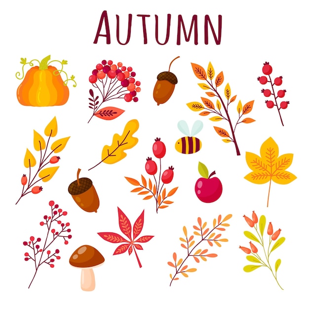 Conjunto de outono de elementos no estilo cartoon. coleção outonal de ramos, frutos, animais e cogumelos. ilustração vetorial nas cores amarela, vermelha e laranja