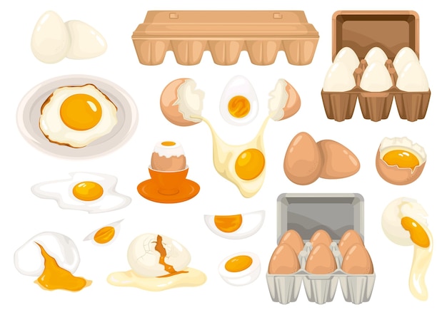 Conjunto de ovos para comida