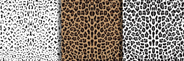 Conjunto de padrões sem emenda de leopardo para estampas têxteis