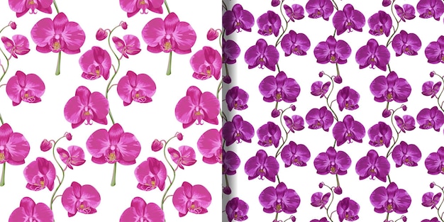 Conjunto de padrões sem emenda florais de orquídea rosa
