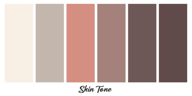 Vetor conjunto de paleta de cores de tom de pele para maquiagem com pincéis naturais ilustração vetorial