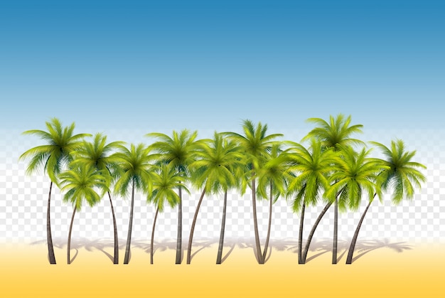 Conjunto De Palmas Tropicais